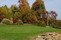 Cherry Wood GC