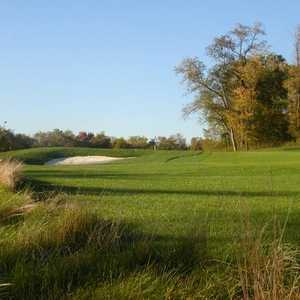 Blackthorne C