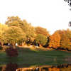 A view from Duck Hollow Golf Club