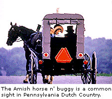 Amish Horse 'n' Buggy