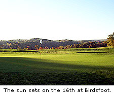 Birdsfoot