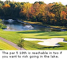 Golden Oaks
